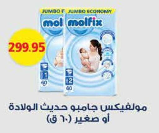 MOLFIX   in رويال هاوس in Egypt - القاهرة