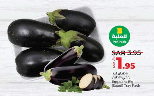  Zucchini  in LULU Hypermarket in KSA, Saudi Arabia, Saudi - Unayzah