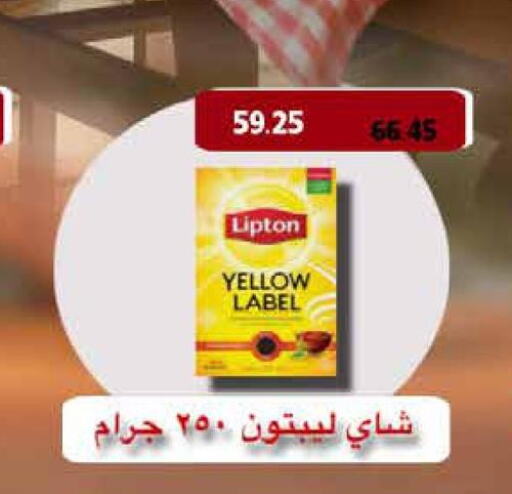 Lipton   in رويال هاوس in Egypt - القاهرة