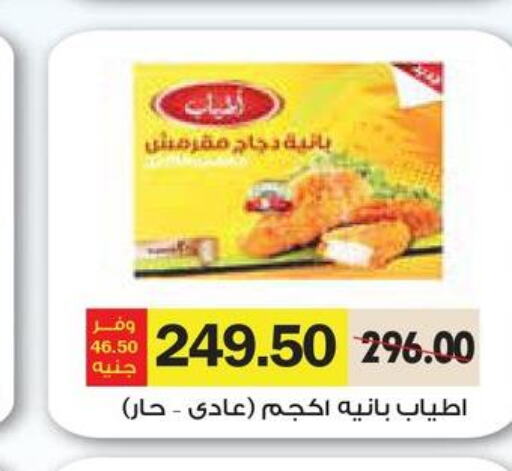  Chicken Pane  in رويال هاوس in Egypt - القاهرة