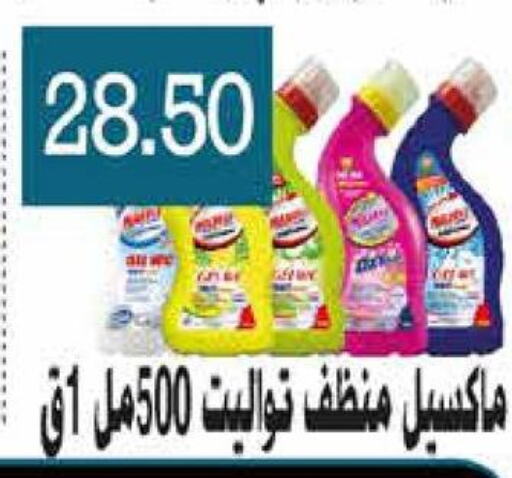  General Cleaner  in Royal House in Egypt - Cairo