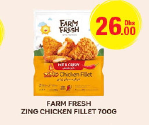 FARM FRESH Chicken Fillet  in Emirates Co-Operative Society in UAE - Dubai