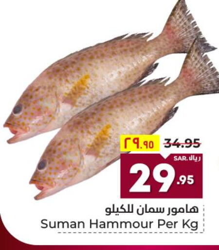  King Fish  in هايبر الوفاء in مملكة العربية السعودية, السعودية, سعودية - الرياض