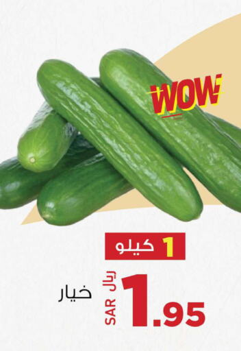  Cucumber  in مخازن هايبرماركت in مملكة العربية السعودية, السعودية, سعودية - تبوك