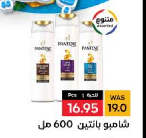 PANTENE Shampoo / Conditioner  in شبرا الطائف in مملكة العربية السعودية, السعودية, سعودية - الطائف