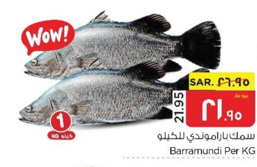  King Fish  in Nesto in KSA, Saudi Arabia, Saudi - Al Hasa