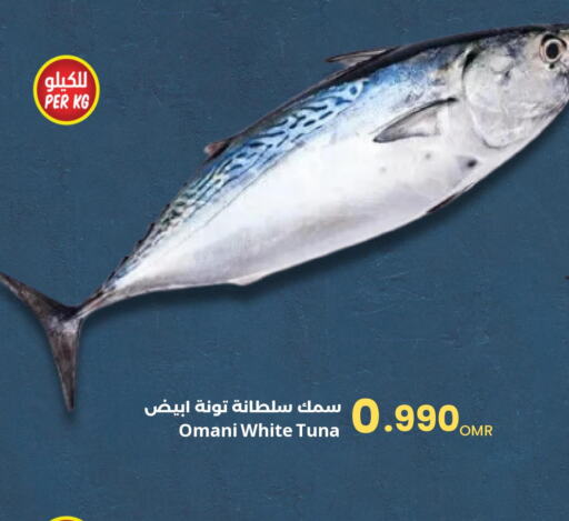  Tuna  in مركز سلطان in عُمان - صُحار‎
