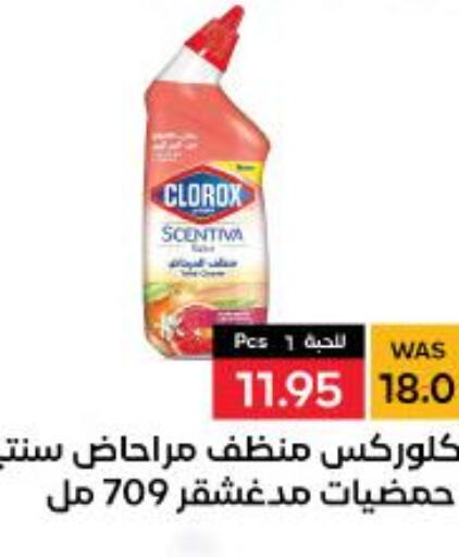 CLOROX Toilet / Drain Cleaner  in شبرا الطائف in مملكة العربية السعودية, السعودية, سعودية - الطائف