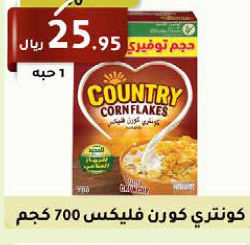 NESTLE COUNTRY Corn Flakes  in Saudi Market in KSA, Saudi Arabia, Saudi - Mecca