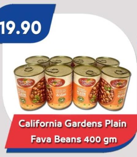 CALIFORNIA GARDEN Fava Beans  in Bassem Market in Egypt - Cairo