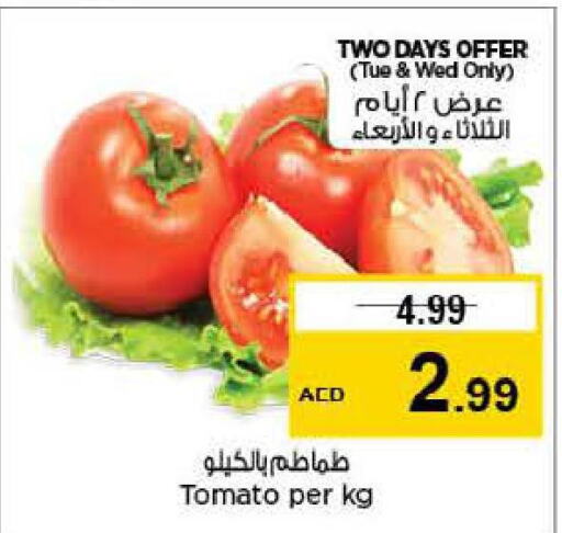  Tomato  in Last Chance  in UAE - Fujairah