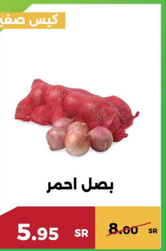  Onion  in حدائق الفرات in مملكة العربية السعودية, السعودية, سعودية - مكة المكرمة