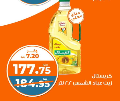  Sunflower Oil  in كازيون in Egypt - القاهرة