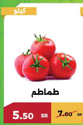  Tomato  in Forat Garden in KSA, Saudi Arabia, Saudi - Mecca