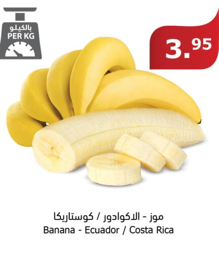 Banana  in Al Raya in KSA, Saudi Arabia, Saudi - Abha