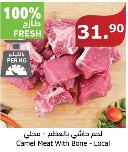  Camel meat  in Al Raya in KSA, Saudi Arabia, Saudi - Al Bahah