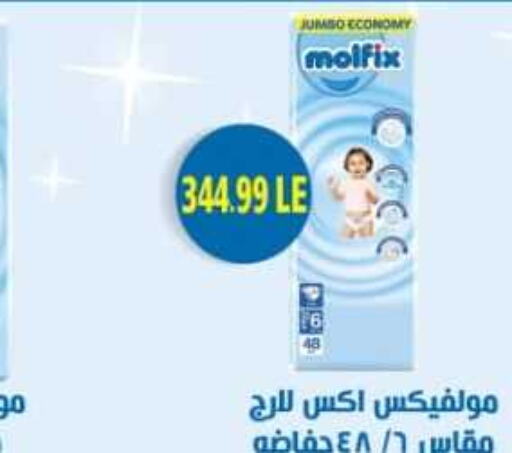 MOLFIX   in Euromarche in Egypt - Cairo