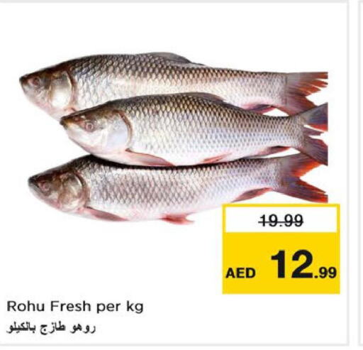  King Fish  in Nesto Hypermarket in UAE - Ras al Khaimah