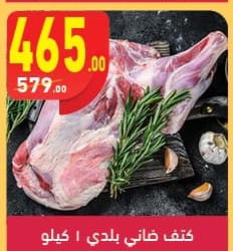  Mutton / Lamb  in Mahmoud El Far in Egypt - Cairo
