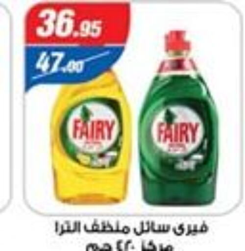 FAIRY General Cleaner  in Zaher Dairy in Egypt - Cairo