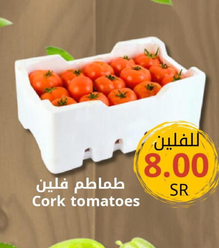  Tomato  in جوول ماركت in مملكة العربية السعودية, السعودية, سعودية - الخبر‎