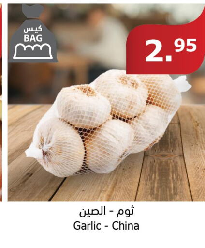  Garlic  in Al Raya in KSA, Saudi Arabia, Saudi - Najran