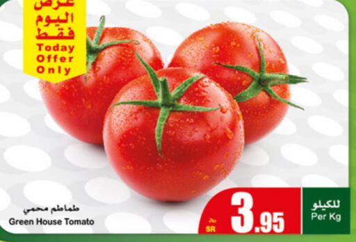  Tomato  in أسواق عبد الله العثيم in مملكة العربية السعودية, السعودية, سعودية - المنطقة الشرقية