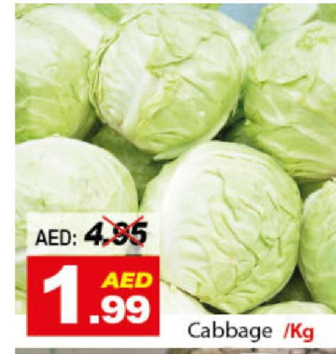  Cabbage  in DESERT FRESH MARKET  in UAE - Abu Dhabi