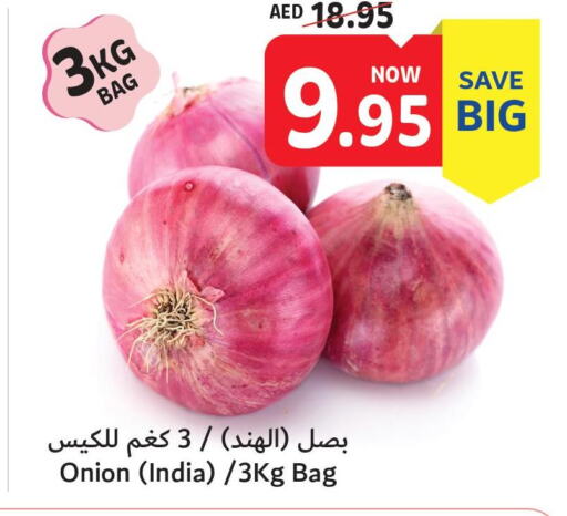 Onion  in Umm Al Quwain Coop in UAE - Umm al Quwain