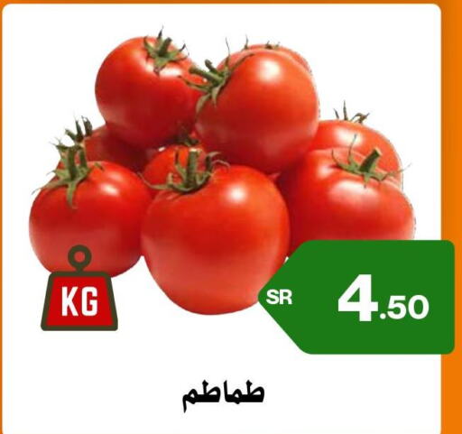  Tomato  in أسواق محاسن المركزية in مملكة العربية السعودية, السعودية, سعودية - الأحساء‎