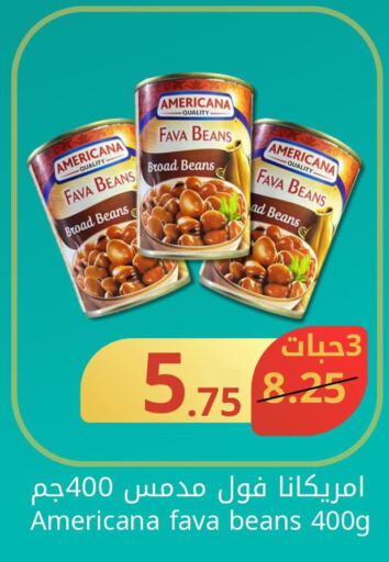 AMERICANA Fava Beans  in جوول ماركت in مملكة العربية السعودية, السعودية, سعودية - الخبر‎