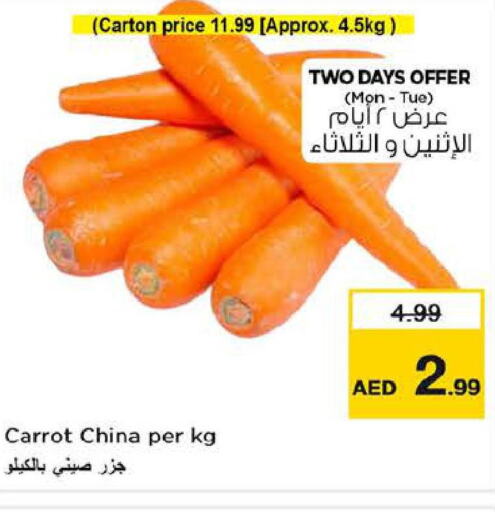  Carrot  in Last Chance  in UAE - Fujairah