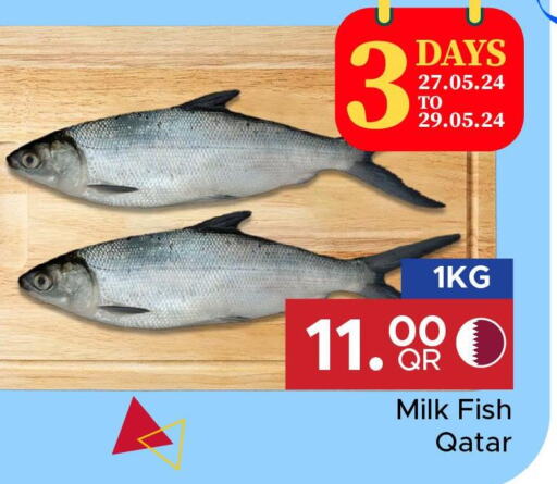  King Fish  in Family Food Centre in Qatar - Al Rayyan