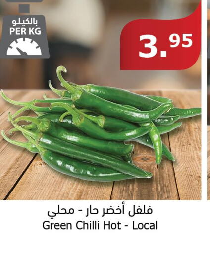  Chilli / Capsicum  in Al Raya in KSA, Saudi Arabia, Saudi - Najran