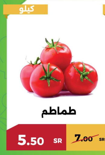  Tomato  in Forat Garden in KSA, Saudi Arabia, Saudi - Mecca