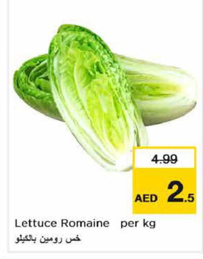  Zucchini  in Nesto Hypermarket in UAE - Fujairah