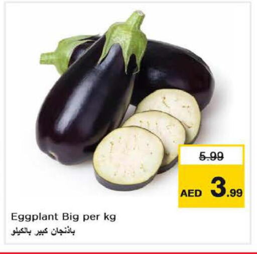  Zucchini  in Last Chance  in UAE - Fujairah