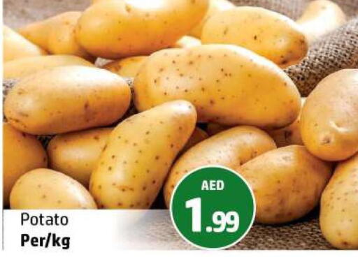 Potato  in الحوت  in الإمارات العربية المتحدة , الامارات - رَأْس ٱلْخَيْمَة