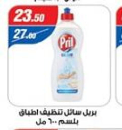 PRIL   in Zaher Dairy in Egypt - Cairo