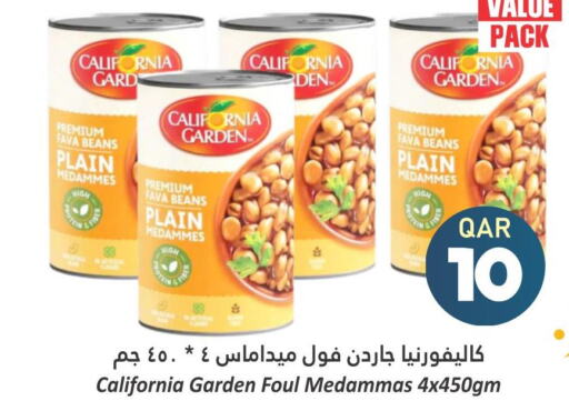 CALIFORNIA GARDEN Fava Beans  in دانة هايبرماركت in قطر - الوكرة
