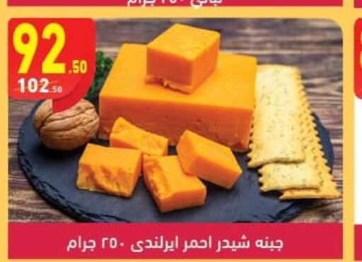  Cheddar Cheese  in Mahmoud El Far in Egypt - Cairo