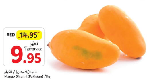 Mango Mango  in تعاونية الاتحاد in الإمارات العربية المتحدة , الامارات - دبي