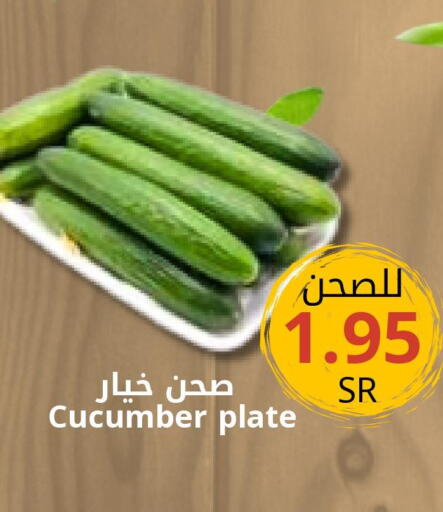  Cucumber  in Joule Market in KSA, Saudi Arabia, Saudi - Dammam