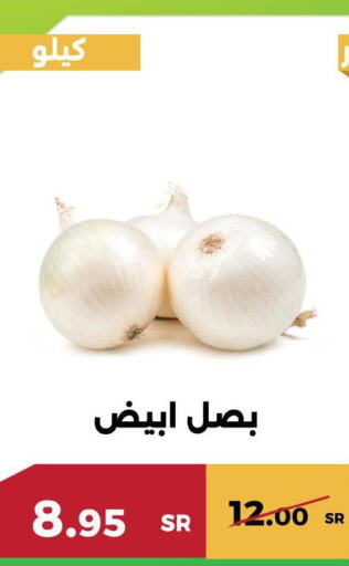 Onion  in Forat Garden in KSA, Saudi Arabia, Saudi - Mecca