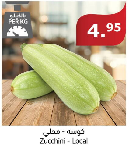  Zucchini  in Al Raya in KSA, Saudi Arabia, Saudi - Najran