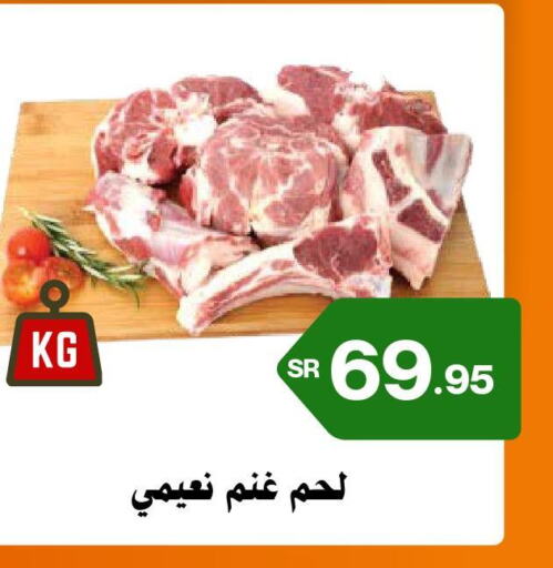 Mutton / Lamb  in Mahasen Central Markets in KSA, Saudi Arabia, Saudi - Al Hasa