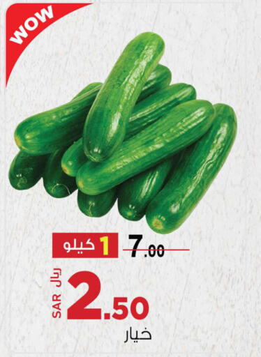  Cucumber  in مخازن سوبرماركت in مملكة العربية السعودية, السعودية, سعودية - جدة