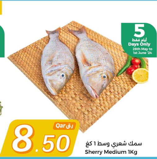  King Fish  in سيتي هايبرماركت in قطر - الريان