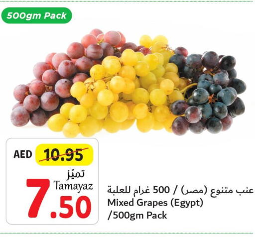  Grapes  in تعاونية الاتحاد in الإمارات العربية المتحدة , الامارات - دبي