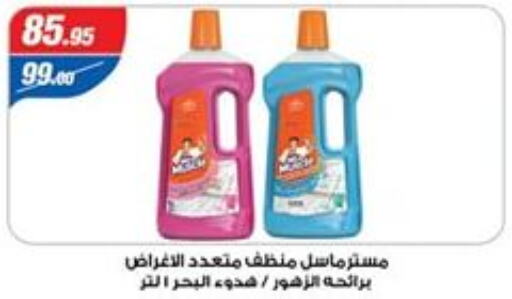 MR. MUSCLE General Cleaner  in Zaher Dairy in Egypt - Cairo